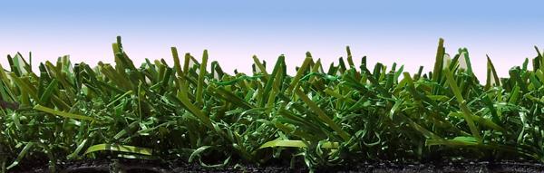Foto cesped artificial grass profer green