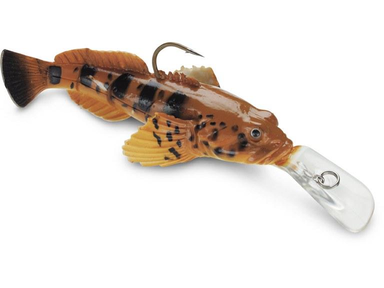 Foto 


Kicking goby 04 abg

