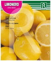 Foto 


Limonero 4 estaciones citrus limon

