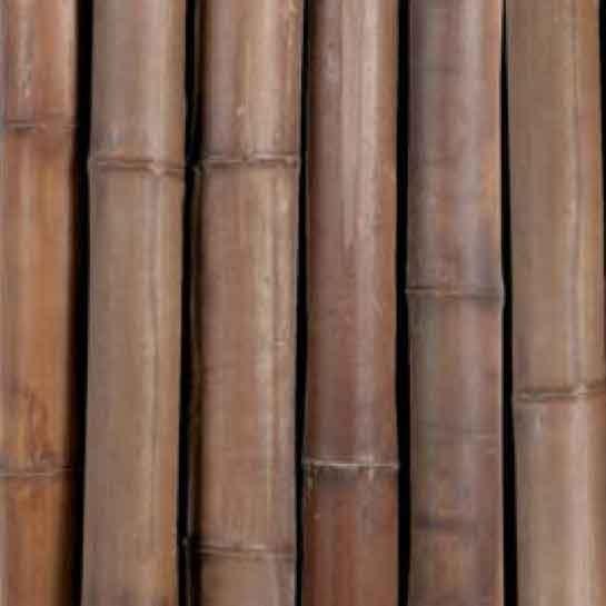 Foto 

Bambú karamell 70/80 mm ø x 1,70 mtr.


