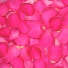 Foto 

Bolsa de pétalos de rosa rosa 300 gr.


