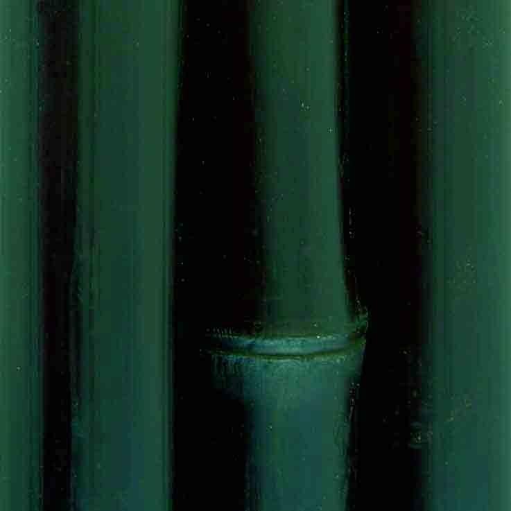 Foto 

Pack 5 cañas de bambú decoración verde oscuro 80/100 mm x 2,40 mt


