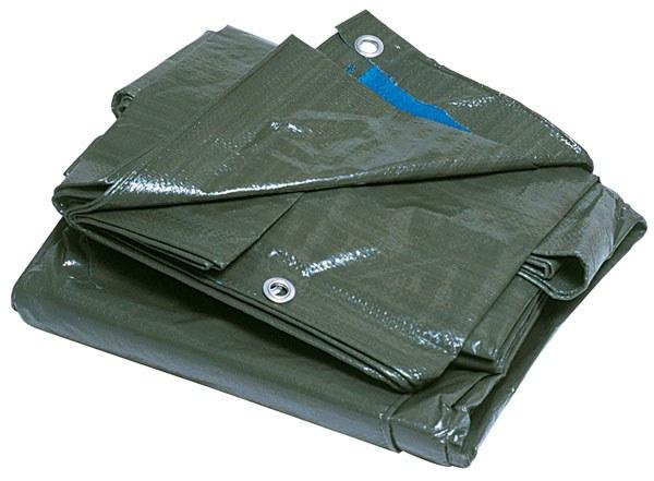 Foto 
Toldo multiuso 115gr Tryun: 3x4 verde



