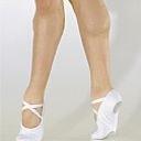 Foto 
Zapatilla Ballet Hombre BAE26 So Dança: Carne 40



