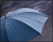 Foto 10 x 8 pulg imprimir of Lluvia caída sobre un paraguas *** título...
