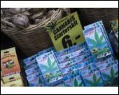 Foto 10 x 8 pulg imprimir of Paquetes de semillas de marihuana en venta...