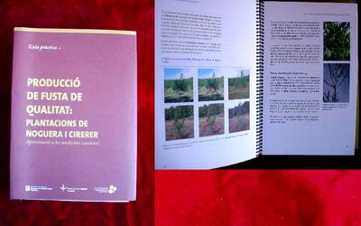 Foto 2009 Producció De Fusta De Qualitat: Plantacions De Noguera I Cirerer