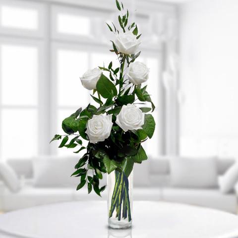Foto 5 rosas blancas