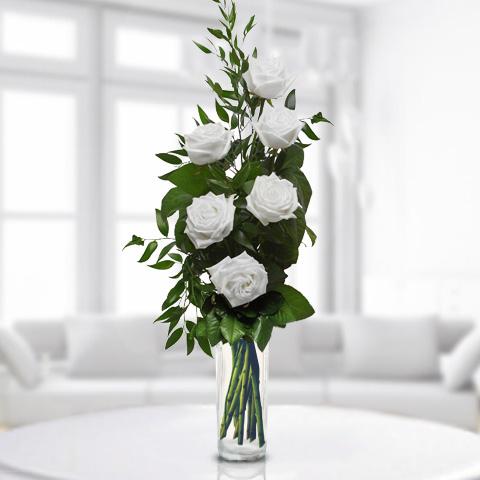 Foto 6 rosas blancas