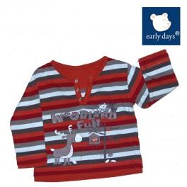 Foto 9 meses - camiseta early days