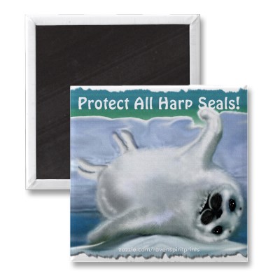 Foto ¡Muy lindo proteja todas las focas de Groenlandia!