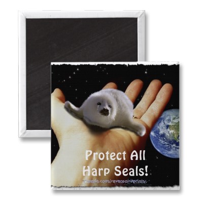 Foto ¡Proteja todas las focas de Groenlandia! Imán de l