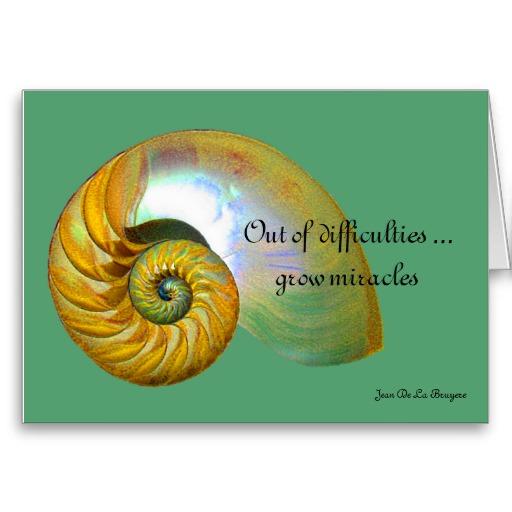 Foto A09 nautilus Shell - tarjeta inspirada 2 de la cit