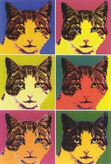 Foto Aceite de Reproducción 60 x 80 CM - Andy Warhol - COM