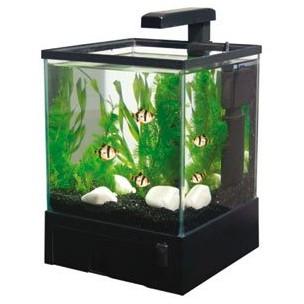 Foto Acuario aqua box 5,5 l