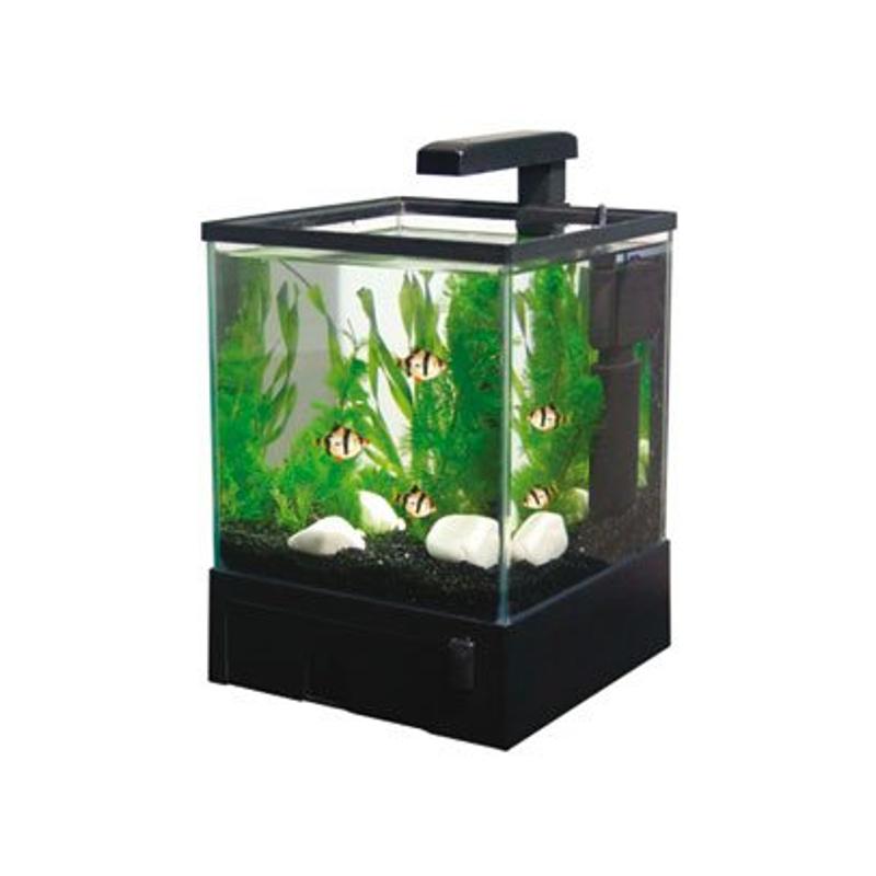 Foto Acuario Aqua Box 5,5 l.