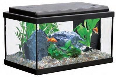 Foto Acuario atlantis 60x30 negro