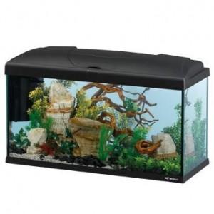 Foto Acuario Capri Capri 80 - 100 litros