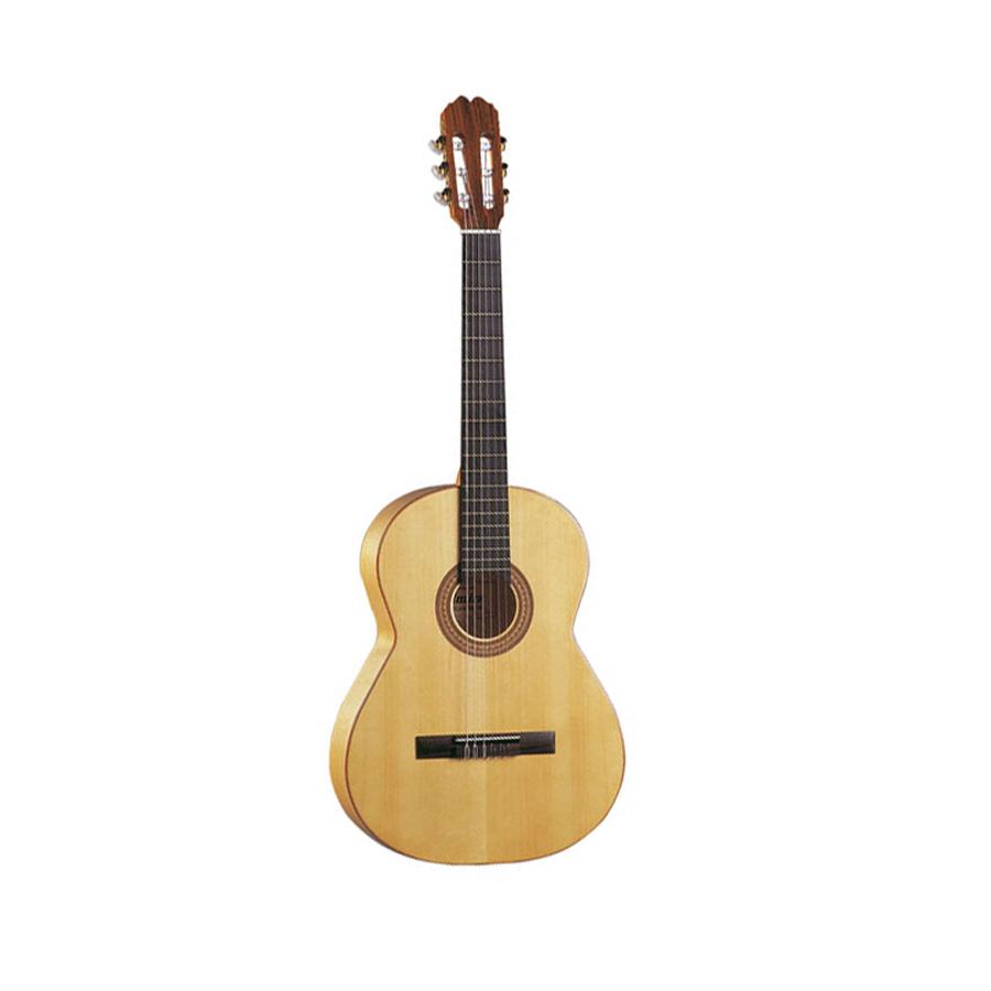 Foto admira flamenco