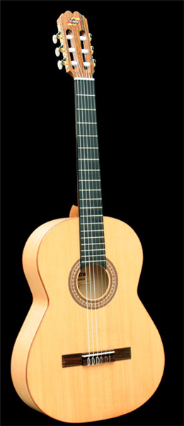 Foto Admira flamenco