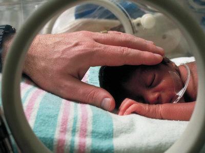Foto Adult Hand Touching Tiny Head of Baby, Born Addicted to Crack Cocaine, in Hospital Incubator, Ted Thai - Laminas