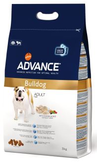 Foto Advance French Bulldog