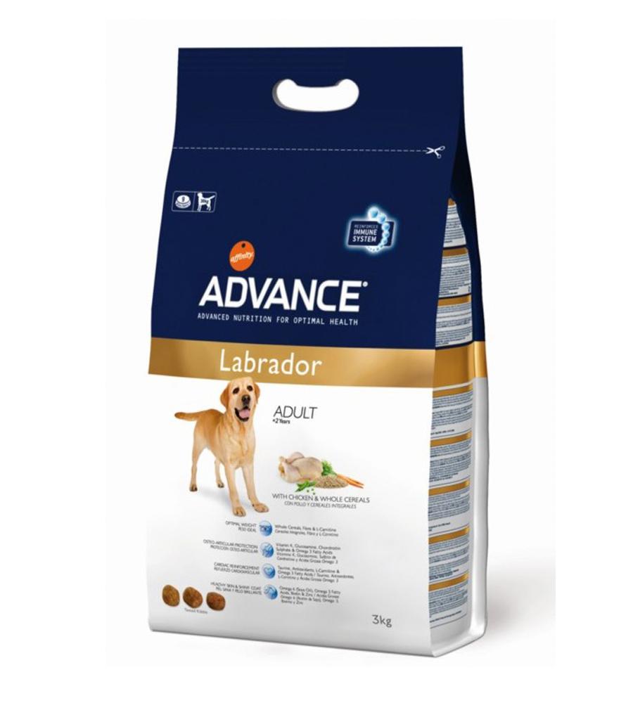 Foto ADVANCE LABRADOR RETRIEVER 12KG.