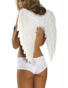 Foto alas de ángel para disfraz