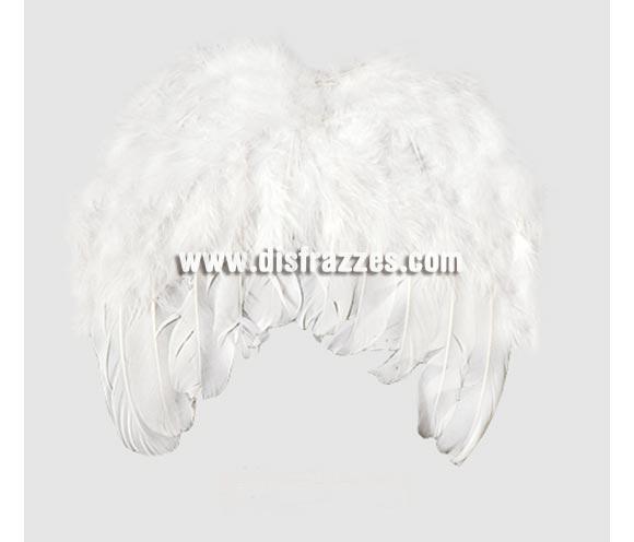 Foto Alas de ángel plumas mini de 20 x 20 cm.