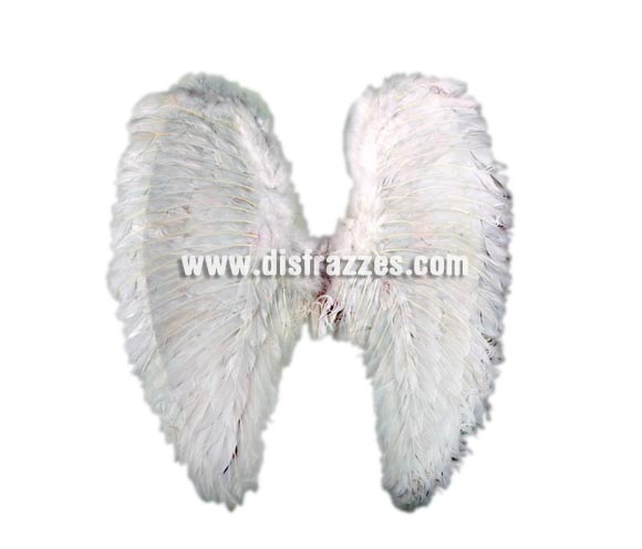 Foto Alas de Angel de plumas blancas de 55x68 cms.