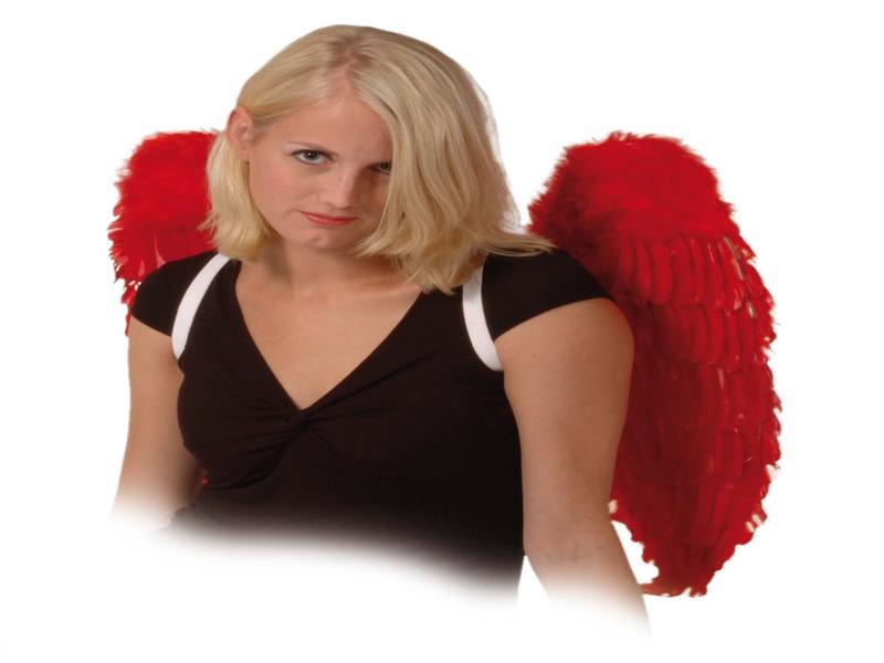 Foto Alas de angel plumas 65x65 rojo 5281100
