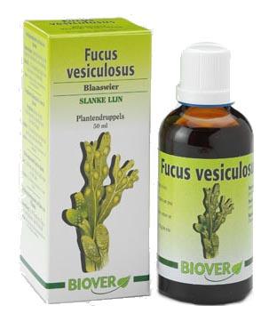 Foto Algas Fucus Vesiculosus (rico en yodo orgánico...) 50 ml