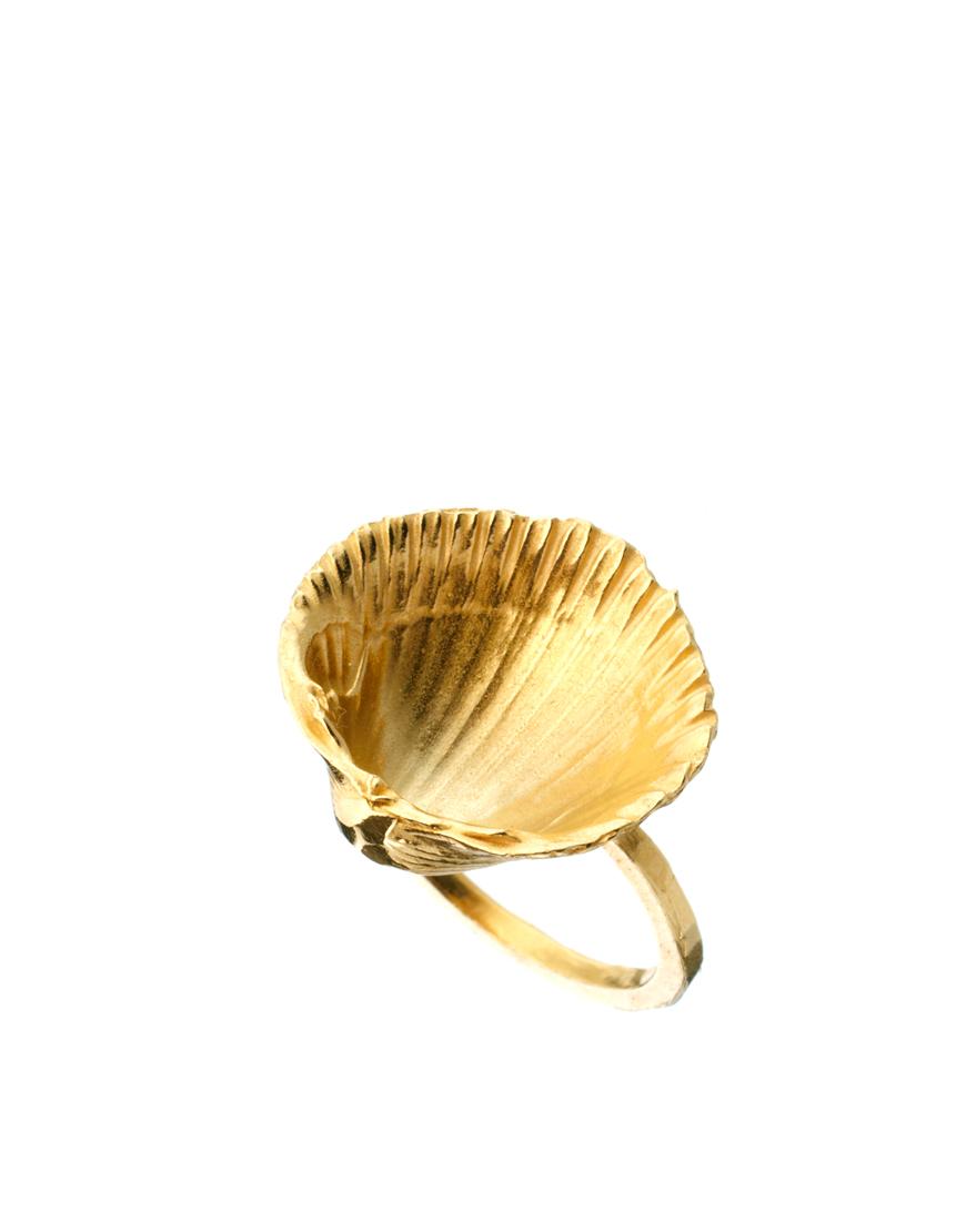 Foto Anillo con concha de Daisy Knights Dorado