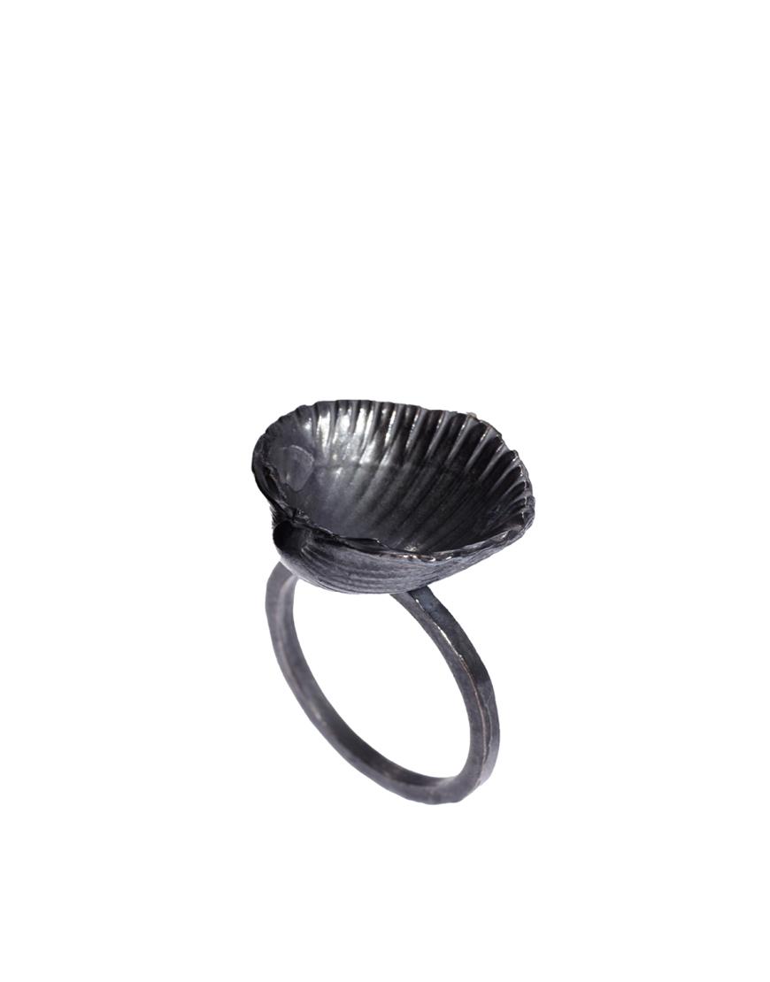 Foto Anillo con concha de Daisy Knights Negro