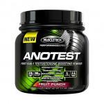 Foto Anotest Performance Series - 284 gr Fruit Punch Muscletech