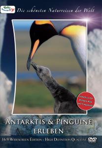Foto Antarktis & Pinguine erleben DVD