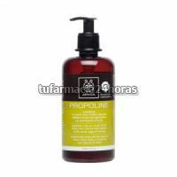 Foto APIVITA CHAMPU FAMILIAR SALVIA Y MIEL 500ML