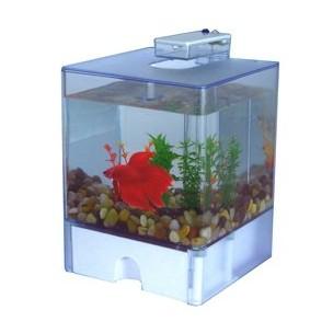 Foto Aquabox betta 2 15x15x14,5 cm
