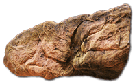 Foto Aquarium Rock D 83x32x11 cm