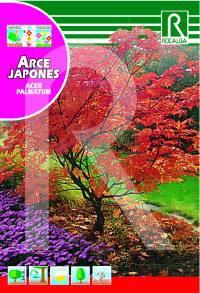 Foto Arce japones acer palmatum