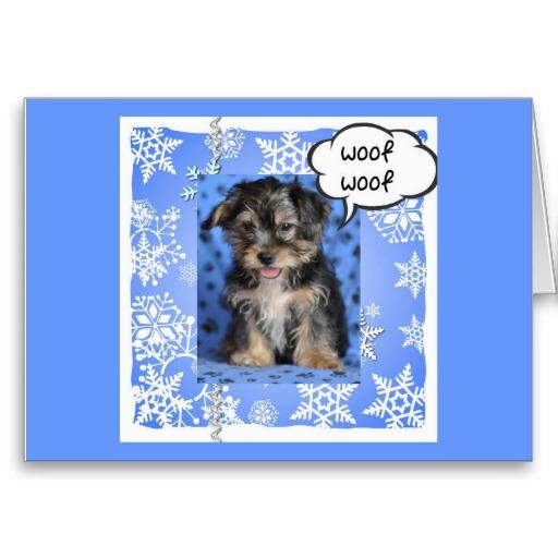 Foto Arf Arf A Usted Oh Su 