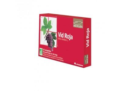 Foto Arkopharma vid roja 10 ampollas