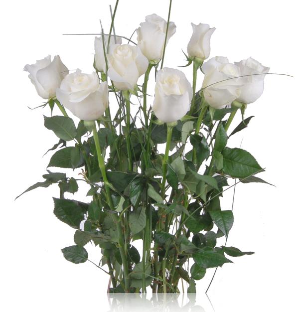 Foto Arreglo de Rosas blancas