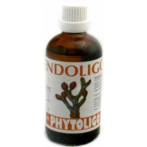 Foto Artesanía Agrícola Endoligo 100ml