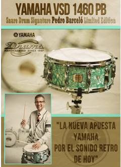 Foto Artistas Yamaha Caja Signature Pedro Barcelo Limited Edition VSD1460PB