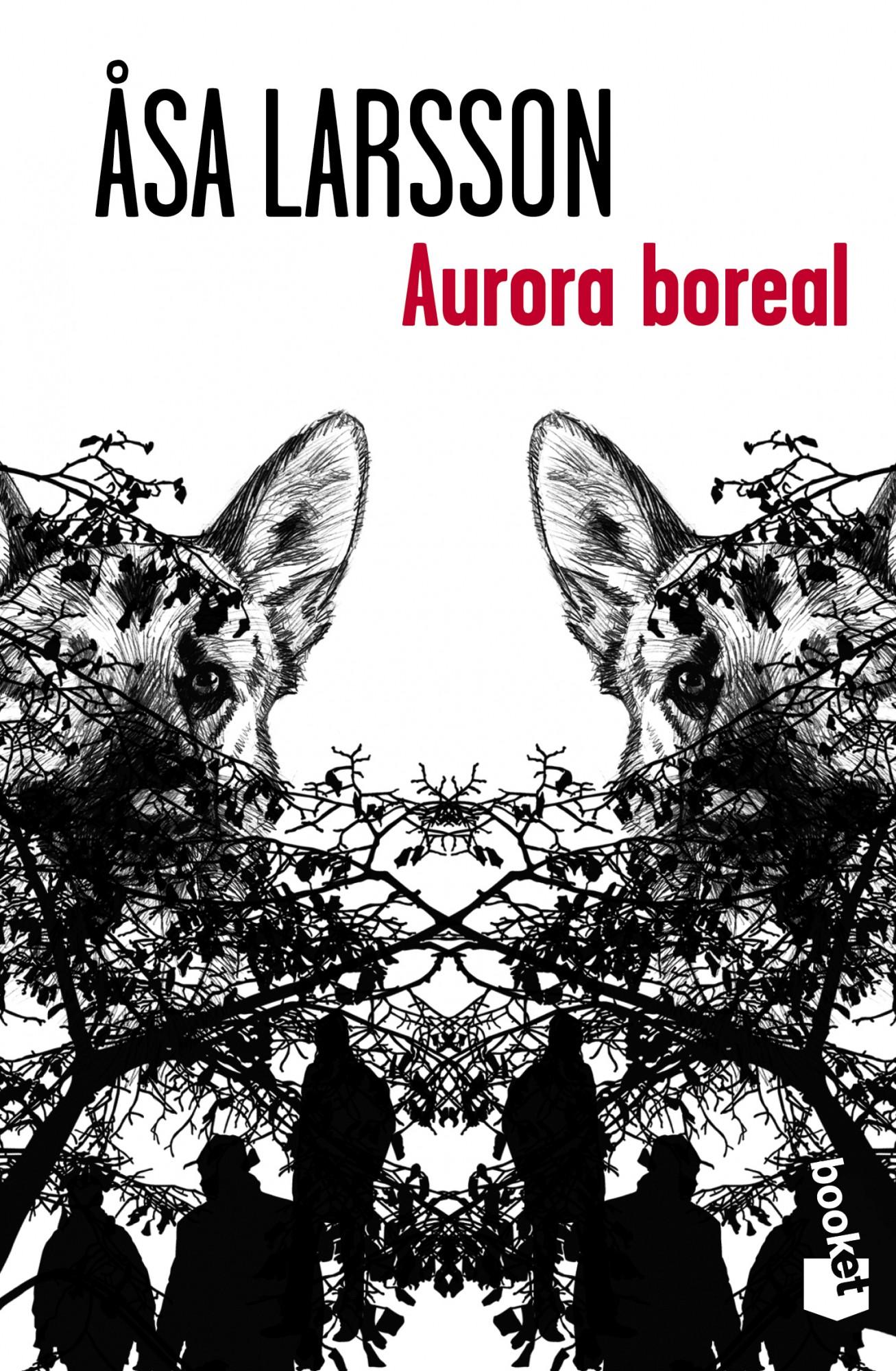 Foto Aurora boreal (en papel)