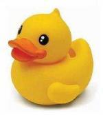 Foto B Duck Hucha De Plastico Pequeña