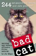 Foto Bad cat (en papel)