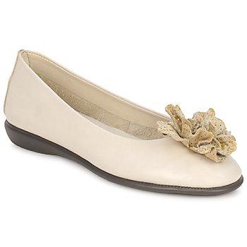 Foto Bailarinas The Flexx Mr Zucchini