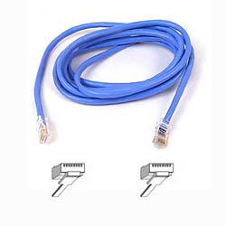 Foto Belkin Cat 5e Network Cable 05 M Utp Azul